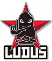  ( , , ) Ludus Team