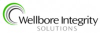  ( , , ) Wellbore Integrity Service