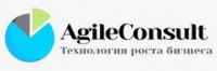  ( , , ) AgileConsult