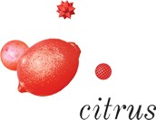 Citrus -  ( , , , )