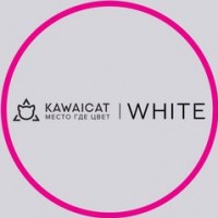  ( , , ) Kawaicat White