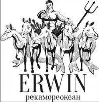  ( , , ) Erwin 