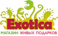  ( , , ) Exotica