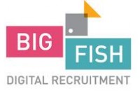 HR- Big Fish Recruitment