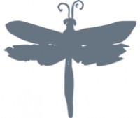 DragonFly Studio -  ( , , , )