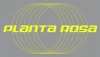 Planta Rosa -  ( , , , )