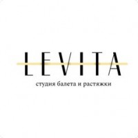  ( , , )     LEVITA (   )