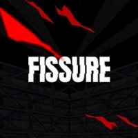  ( , , ) FISSURE