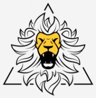  ( , , ) ΠLionsDigital.Pro