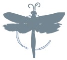  ( , , ) C Dragon-Fly