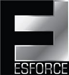  ( , , ) ESforce Holding