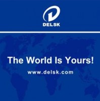  ( , , )  Delsk Group