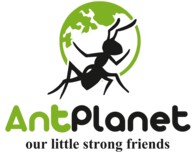  ( , , ) AntPlanet